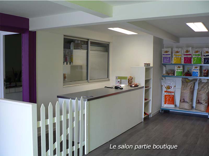 Image 1 - Archibo Salon de Toilettage